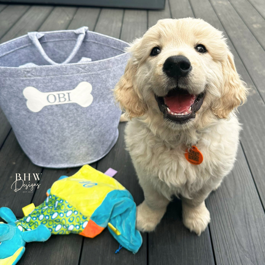 Personalised Dog Felt Trug