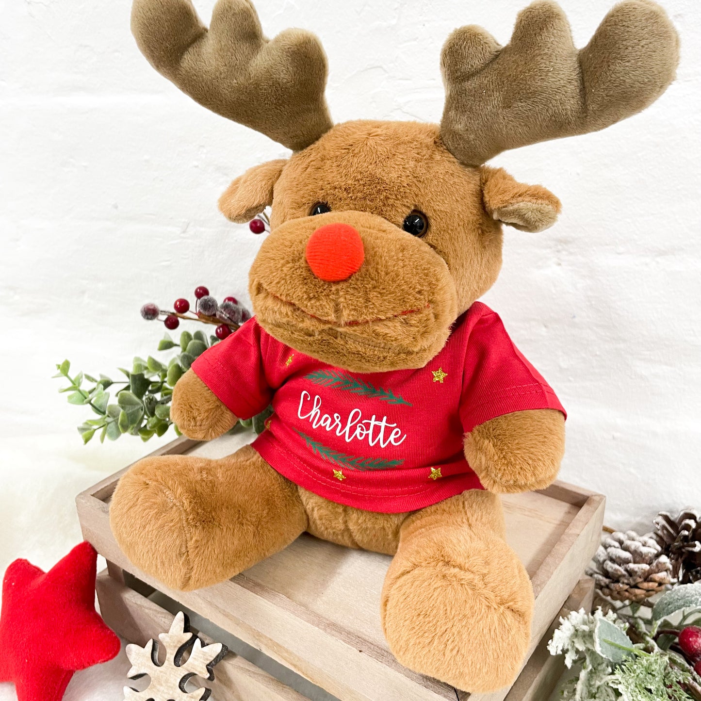 Personalised Brown Reindeer Teddy with T-shirt