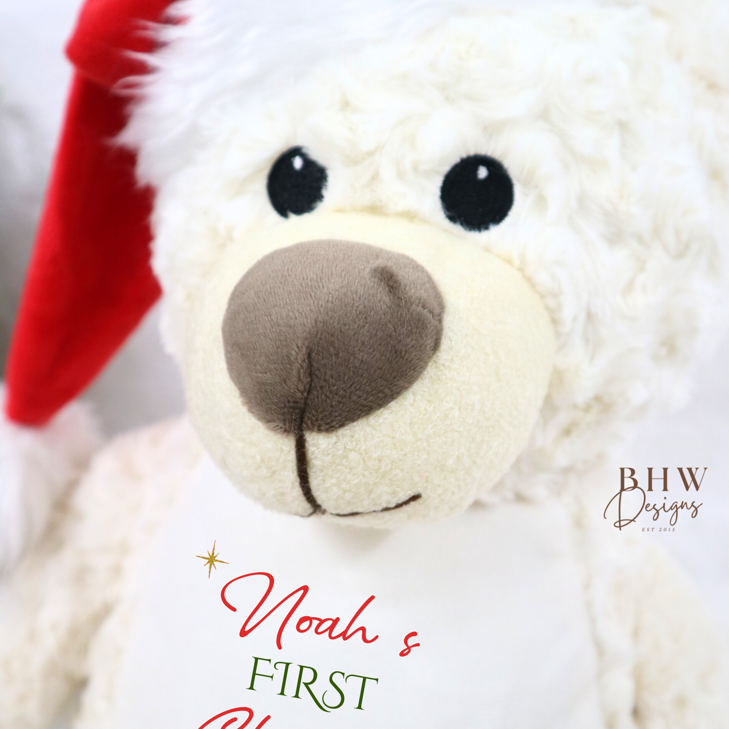 Stuffed animal wearing a red Santa hat with 'Noah's First Christmas' text on a light background.